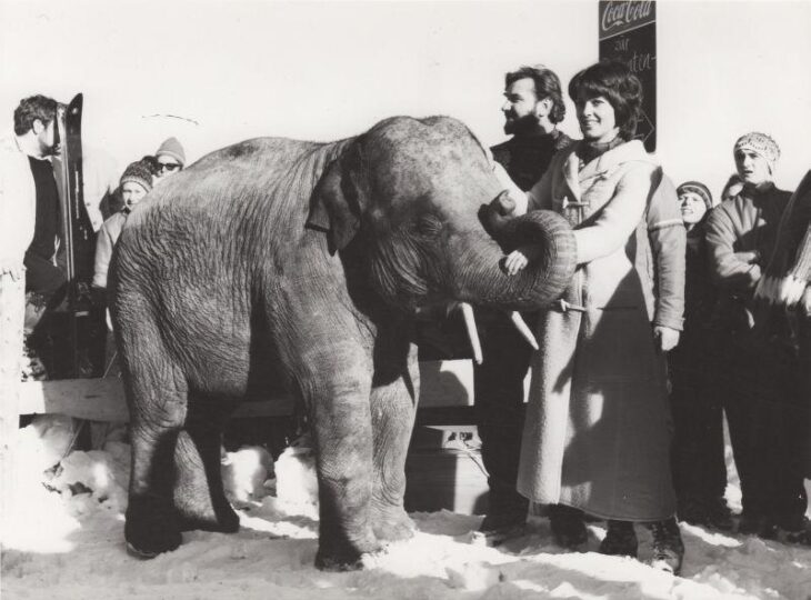 himmeblau-Blog-Elefant-Radschah-auf-dem-Hochfelln