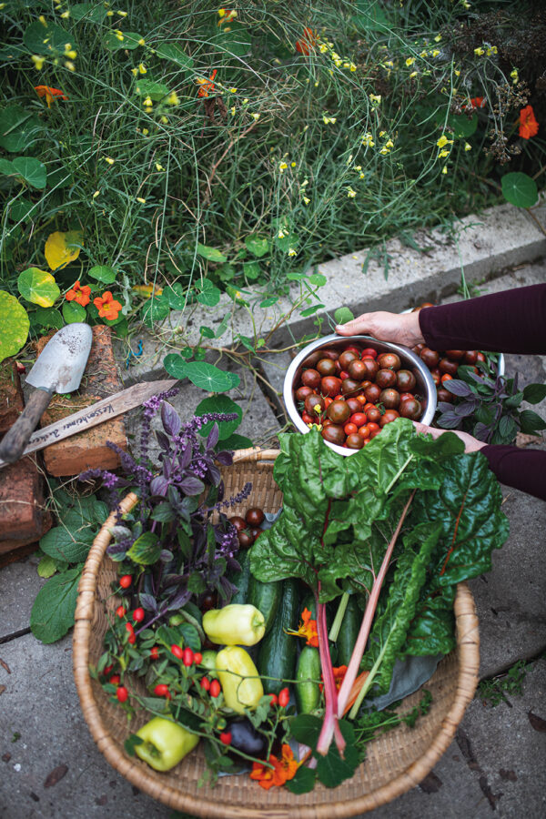 himmeblau-Blog-Farmmade-Gemüse