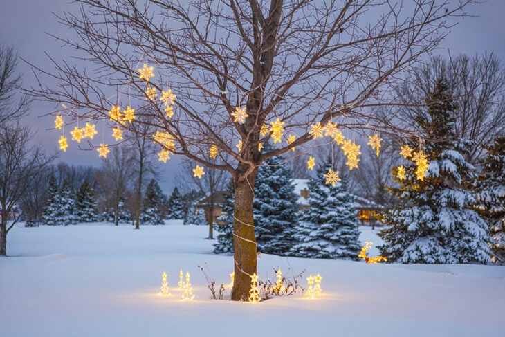 himmeblau-Blog-Baum-mit-Lichterkette-im-Winter