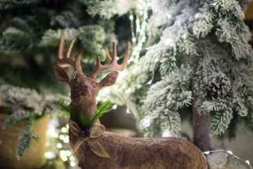 Weihnachtsdekoration im Moyer Hof