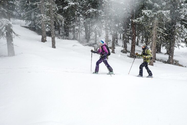 Skitour bei Schneefall